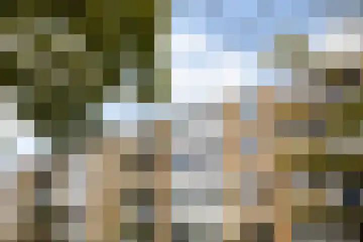 Van Ostadelaan 72 Alkmaar thumbnail 6