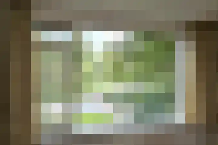 Van Ostadelaan 8 Alkmaar thumbnail 14