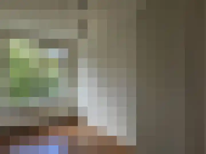 Van Ostadelaan 8 Alkmaar thumbnail 20