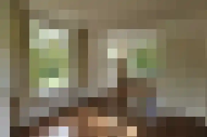 Van Ostadelaan 8 Alkmaar thumbnail 9