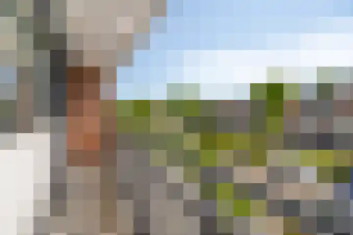 van Ostadelaan 81 Krimpen aan den IJssel thumbnail 24