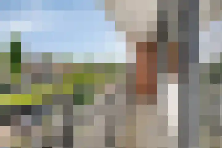 van Ostadelaan 81 Krimpen aan den IJssel thumbnail 27