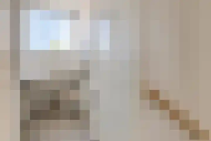 van Ostadelaan 81 Krimpen aan den IJssel thumbnail 29