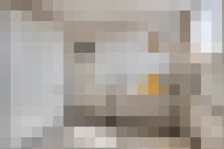 van Ostadelaan 81 Krimpen aan den IJssel thumbnail 32