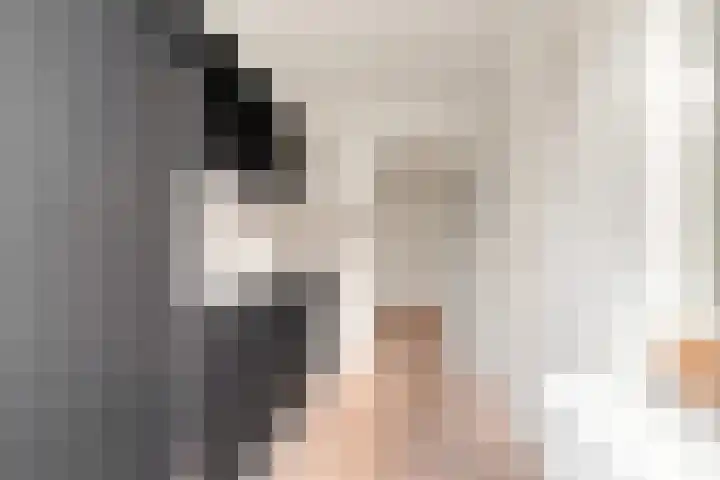 Van Ostadelaan 84 Alkmaar thumbnail 16