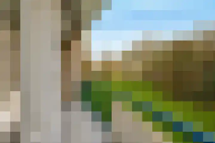 Van Ostadelaan 84 Alkmaar thumbnail 20