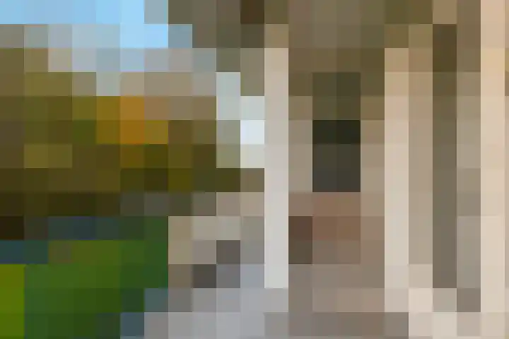 Van Ostadelaan 84 Alkmaar thumbnail 21