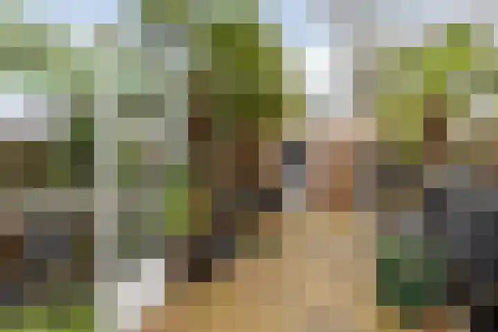 van Ostadelaan 87 Heerhugowaard thumbnail 27