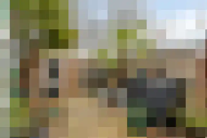 van Ostadelaan 87 Heerhugowaard thumbnail 28