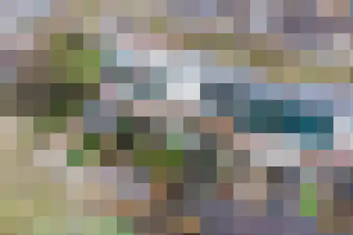 van Ostadelaan 87 Heerhugowaard thumbnail 30