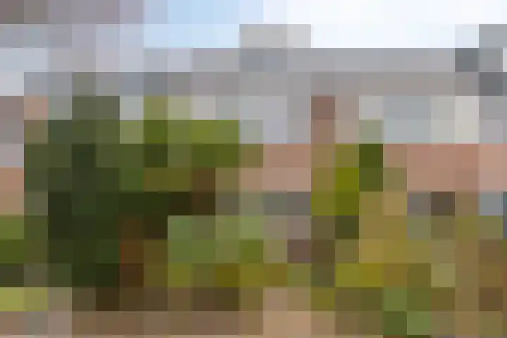 van Ostadelaan 87 Heerhugowaard thumbnail 31