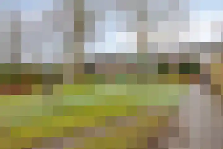 van Ostadelaan 87 Heerhugowaard thumbnail 35