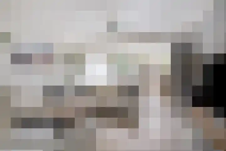 van Ostadelaan 87 Heerhugowaard thumbnail 5