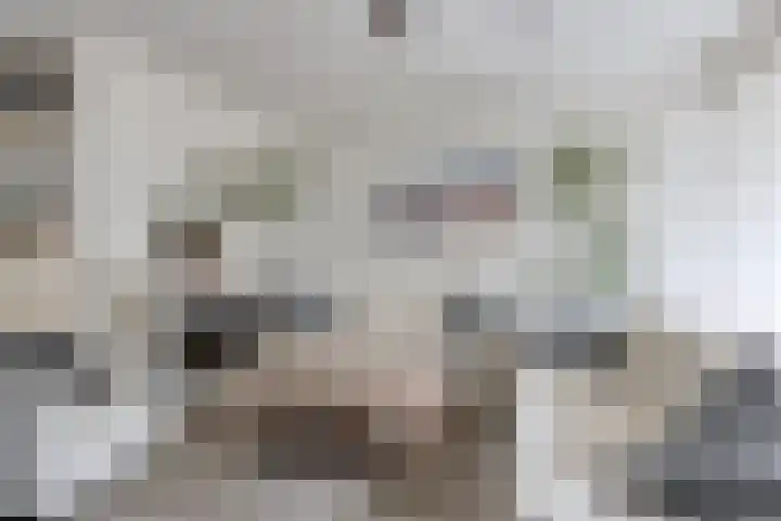 van Ostadelaan 87 Heerhugowaard thumbnail 8