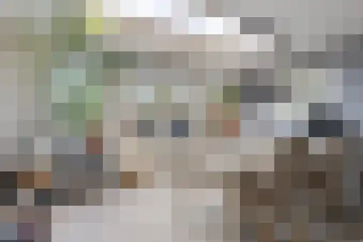 van Ostadelaan 87 Heerhugowaard thumbnail 9