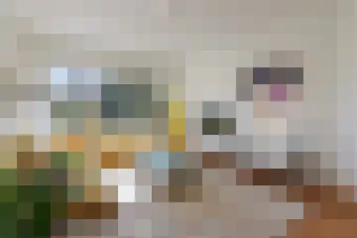 van Ostadelaan 9 Naarden thumbnail 11