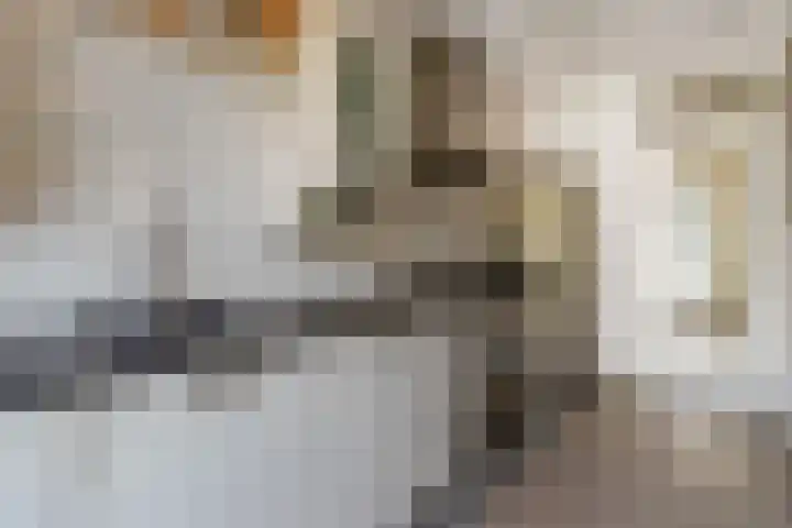 van Ostadelaan 9 Naarden thumbnail 16