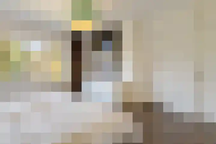 van Ostadelaan 9 Naarden thumbnail 21