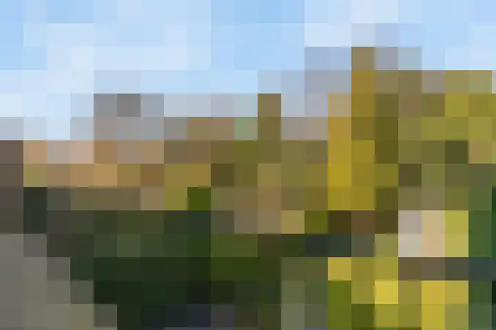 van Ostadelaan 9 Naarden thumbnail 24