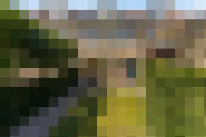 van Ostadelaan 9 Naarden thumbnail 4