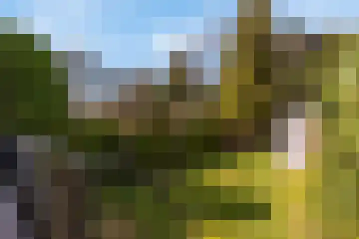 van Ostadelaan 9 Naarden thumbnail 42