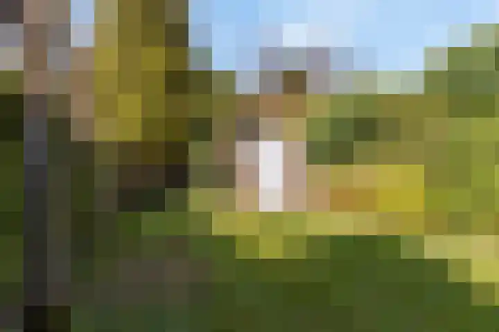 van Ostadelaan 9 Naarden thumbnail 43