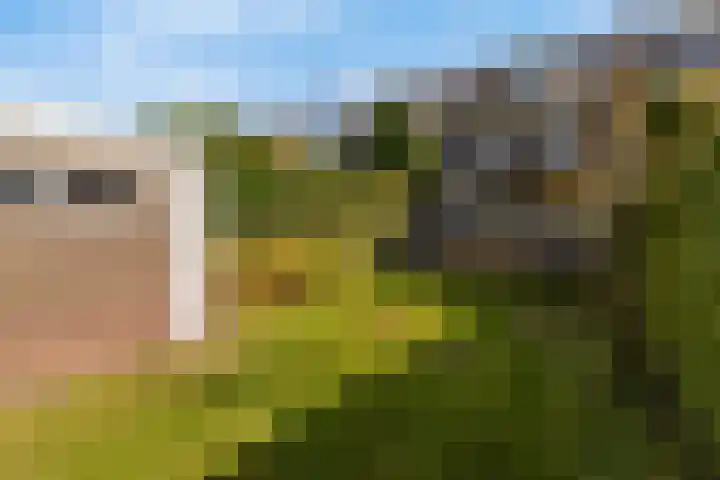 van Ostadelaan 9 Naarden thumbnail 44