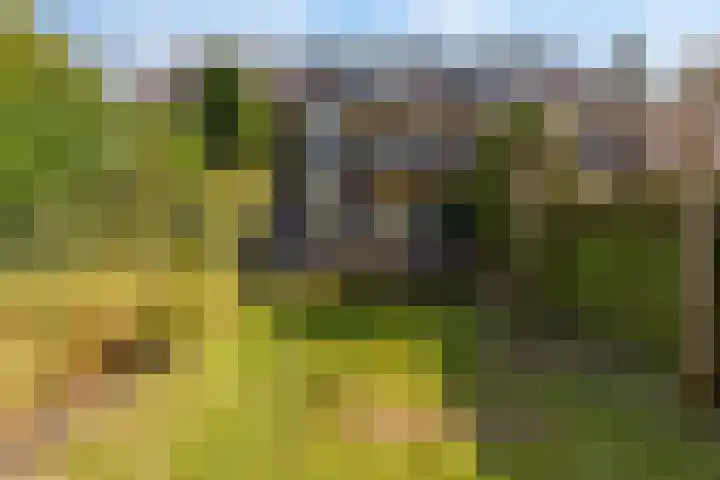 van Ostadelaan 9 Naarden thumbnail 45