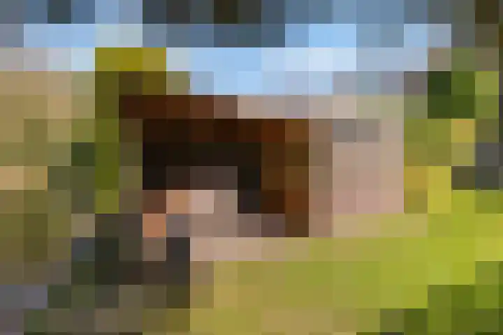 van Ostadelaan 9 Naarden thumbnail 47