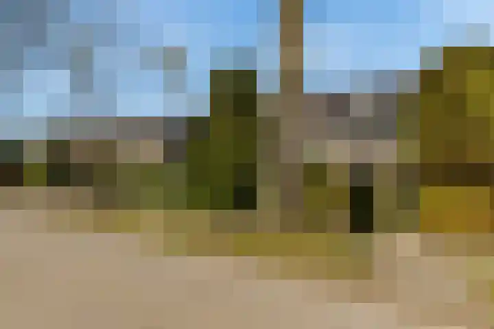 van Ostadelaan 9 Naarden thumbnail 52