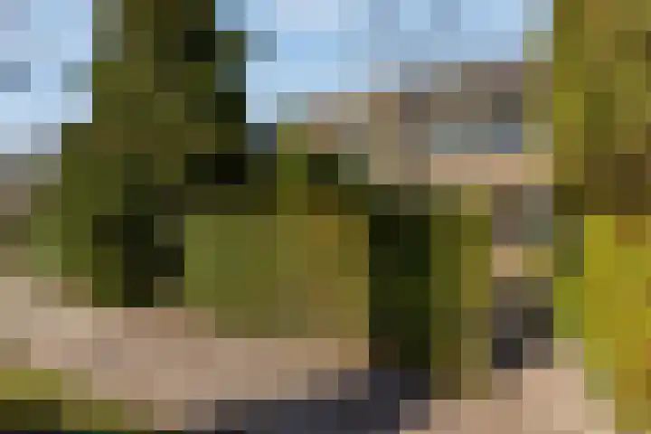 van Ostadelaan 9 Naarden thumbnail 53