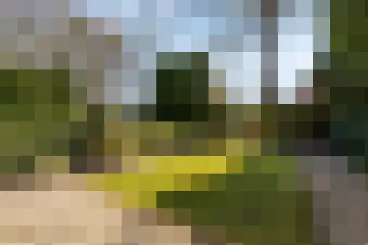van Ostadelaan 9 Naarden thumbnail 6