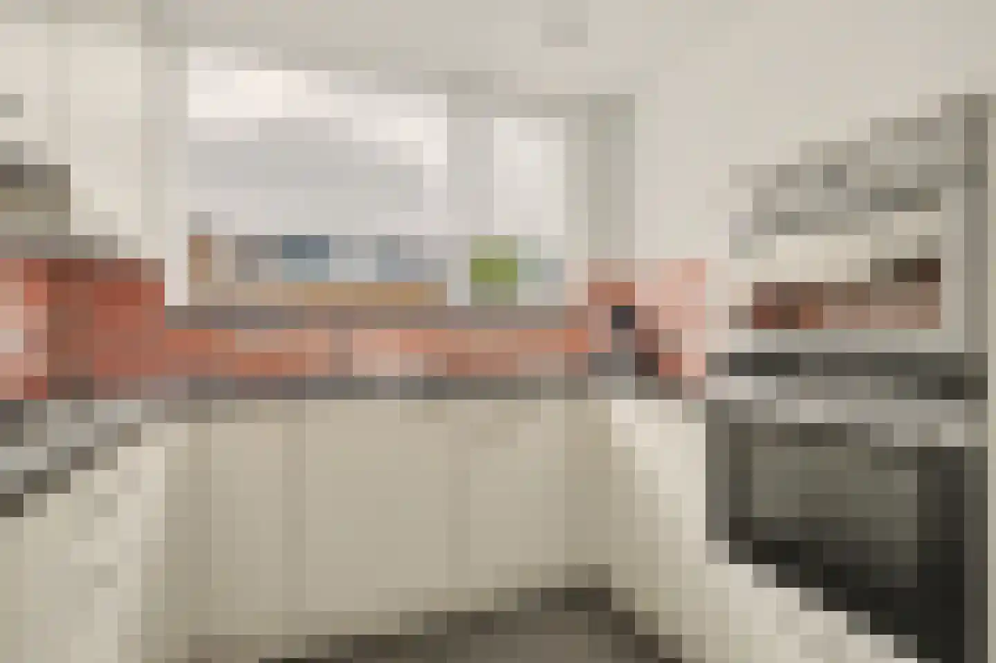 Van Ostadeplein 7 Drunen thumbnail 11