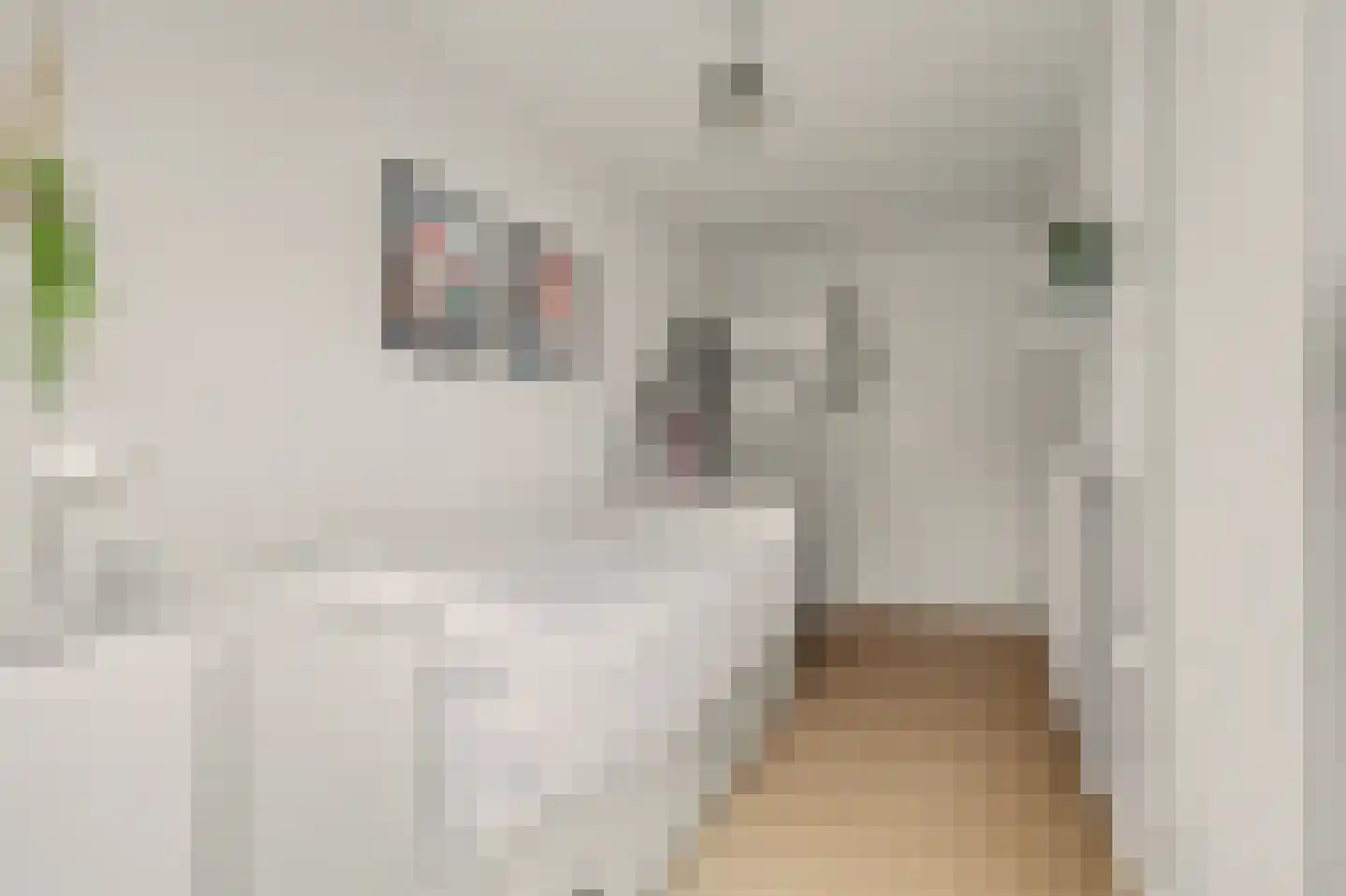 Van Ostadeplein 7 Drunen thumbnail 23