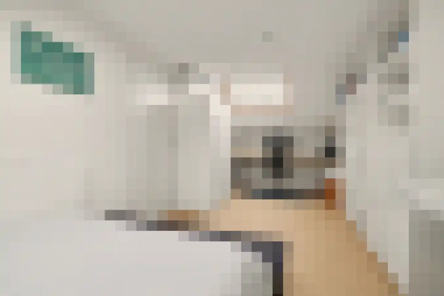 Van Ostadeplein 7 Drunen thumbnail 30