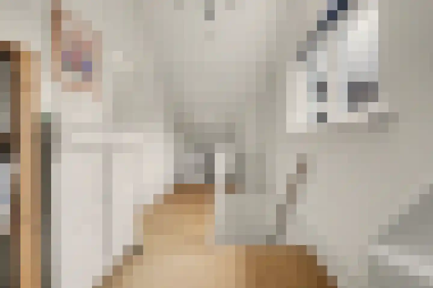 Van Ostadeplein 7 Drunen thumbnail 31