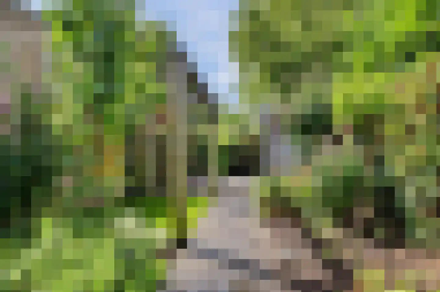 Van Ostadeplein 7 Drunen thumbnail 36