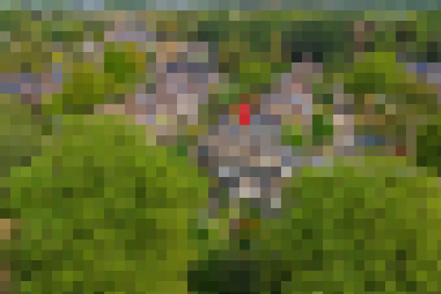 Van Ostadeplein 7 Drunen thumbnail 47