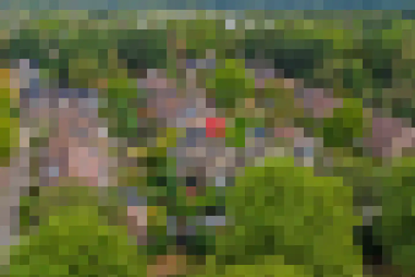 Van Ostadeplein 7 Drunen thumbnail 48