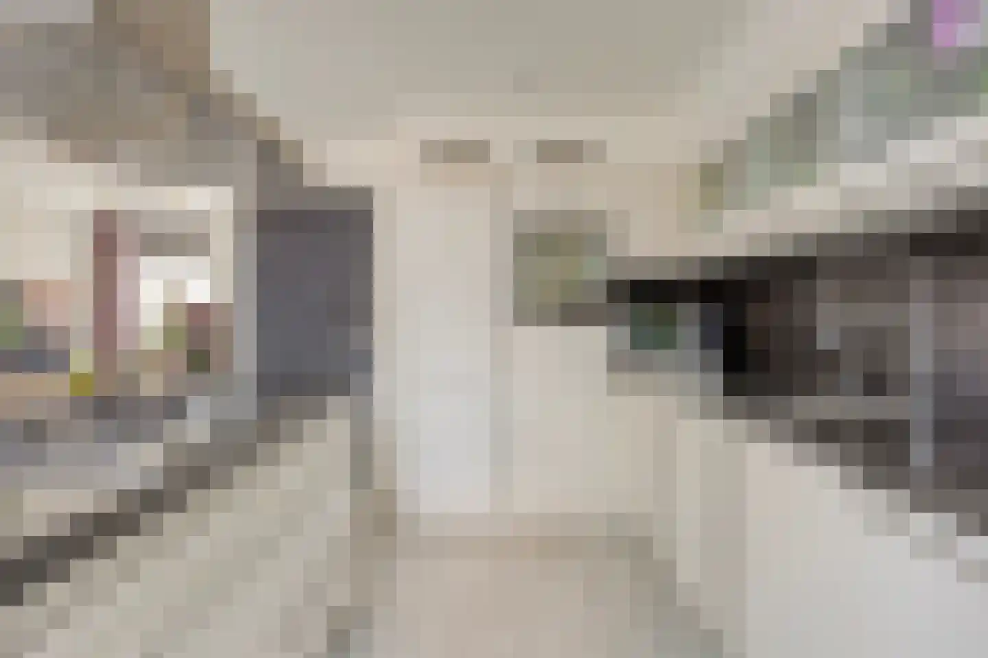 van Ostadestraat 10 Dongen thumbnail 18