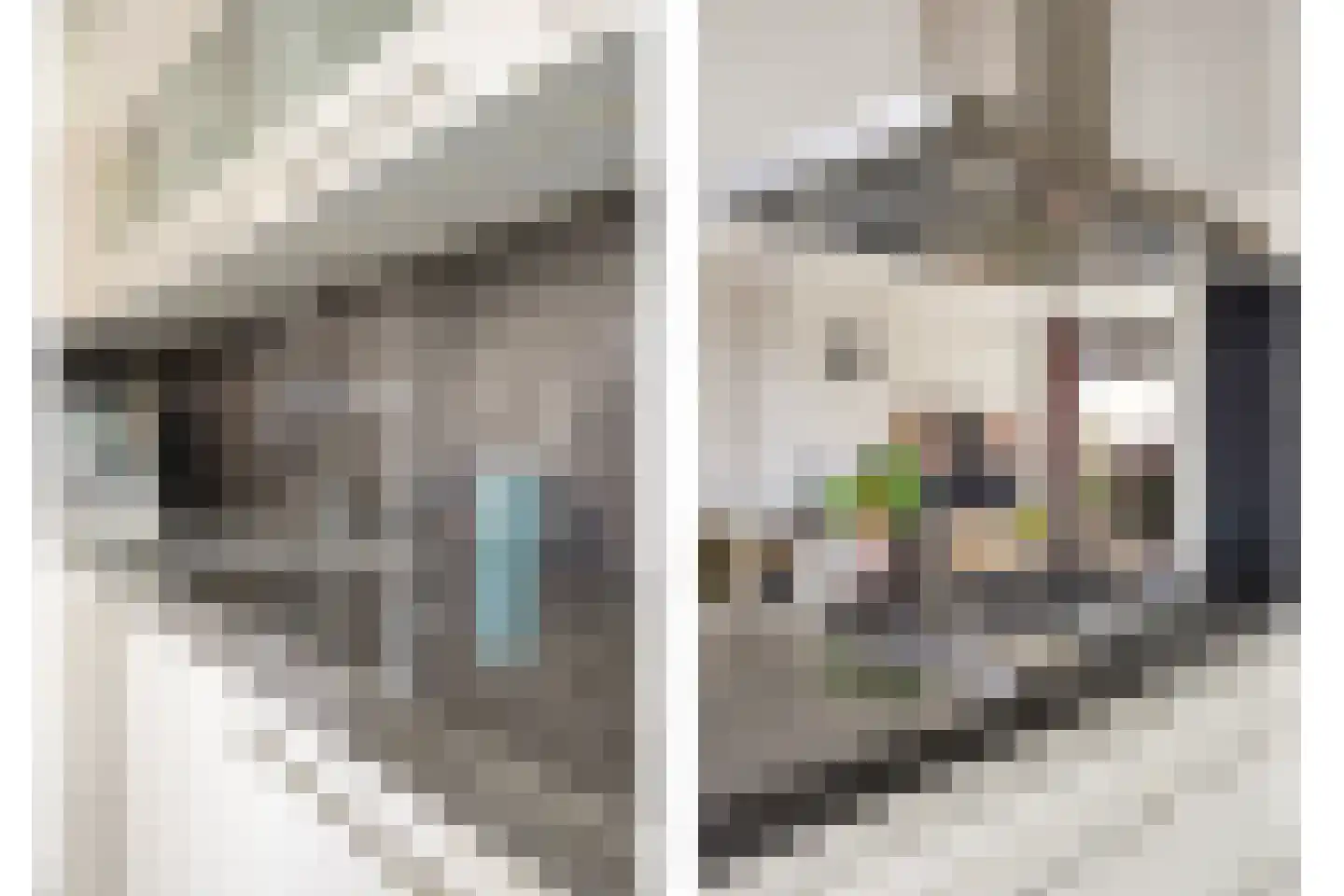van Ostadestraat 10 Dongen thumbnail 19
