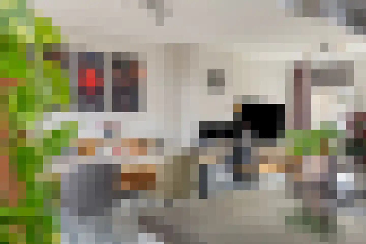 van Ostadestraat 10 Dongen thumbnail 20