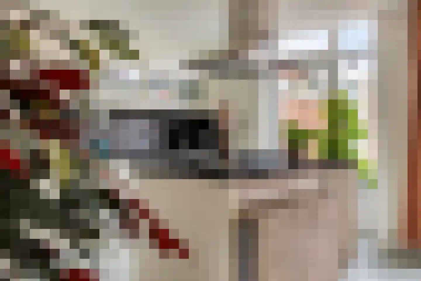 van Ostadestraat 10 Dongen thumbnail 22