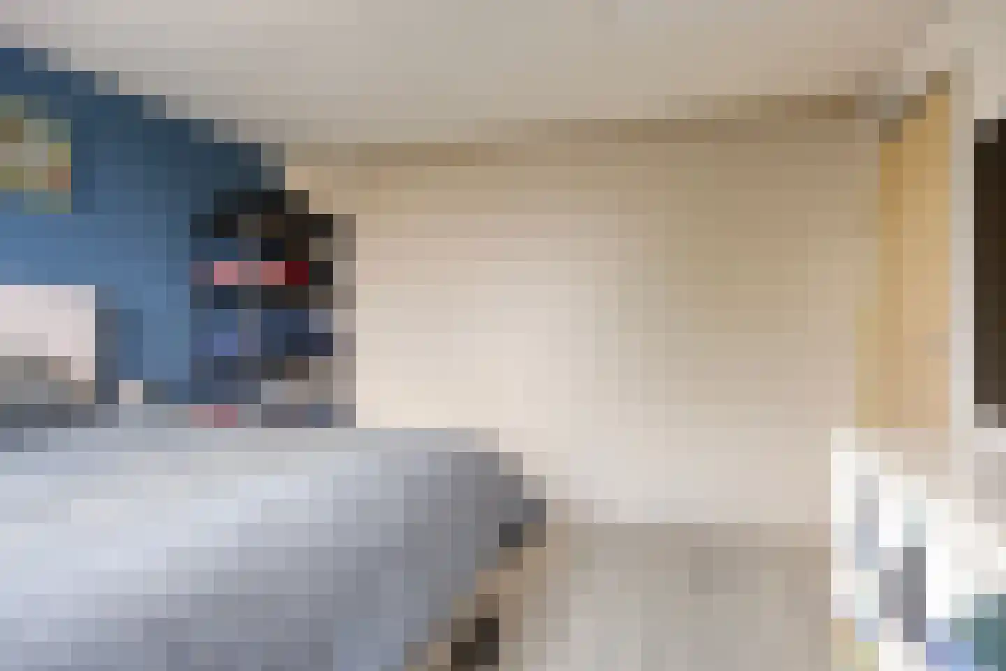 van Ostadestraat 10 Dongen thumbnail 26