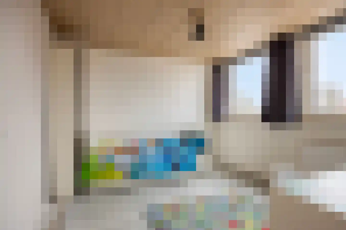 van Ostadestraat 10 Dongen thumbnail 27