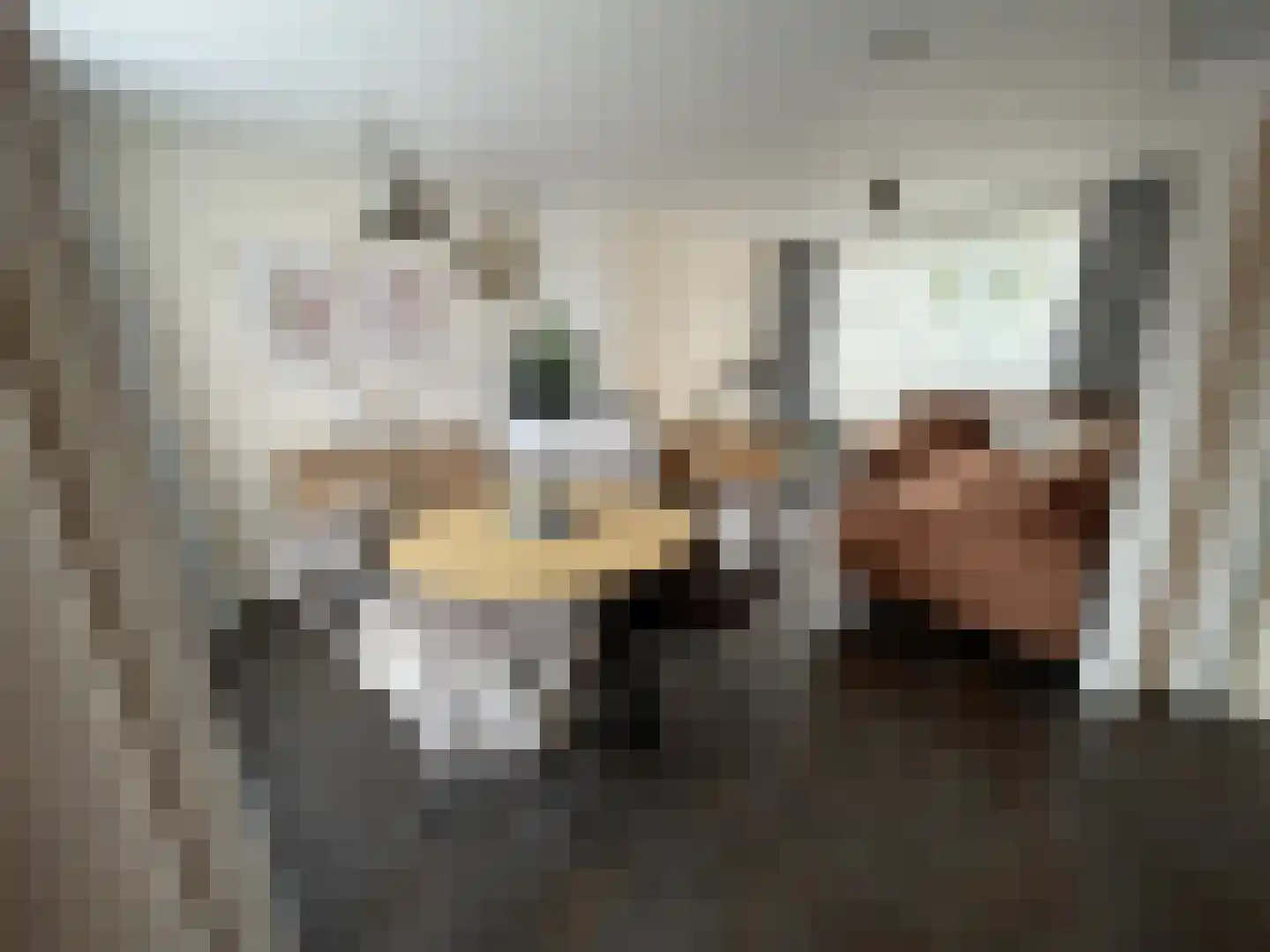 van Ostadestraat 10 Oostburg thumbnail 11