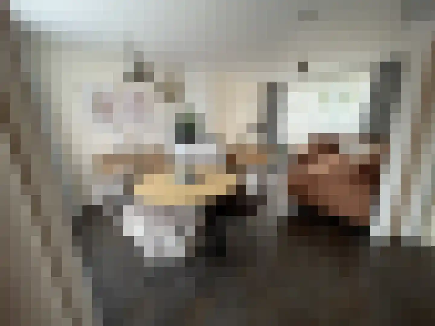 van Ostadestraat 10 Oostburg thumbnail 11