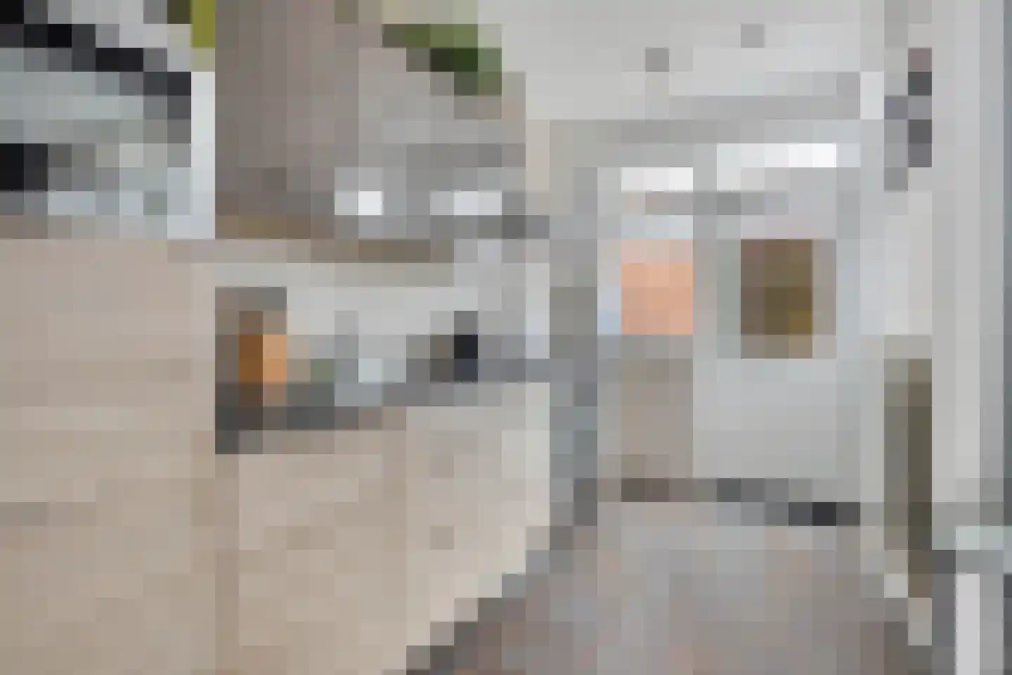 van Ostadestraat 10 Oostburg thumbnail 14