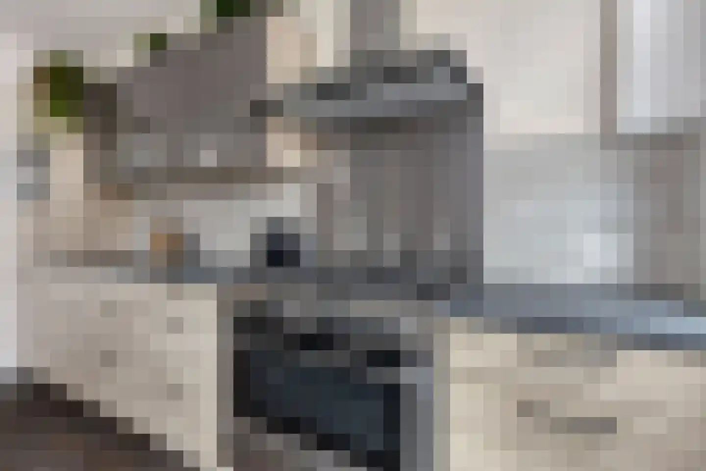 van Ostadestraat 10 Oostburg thumbnail 16