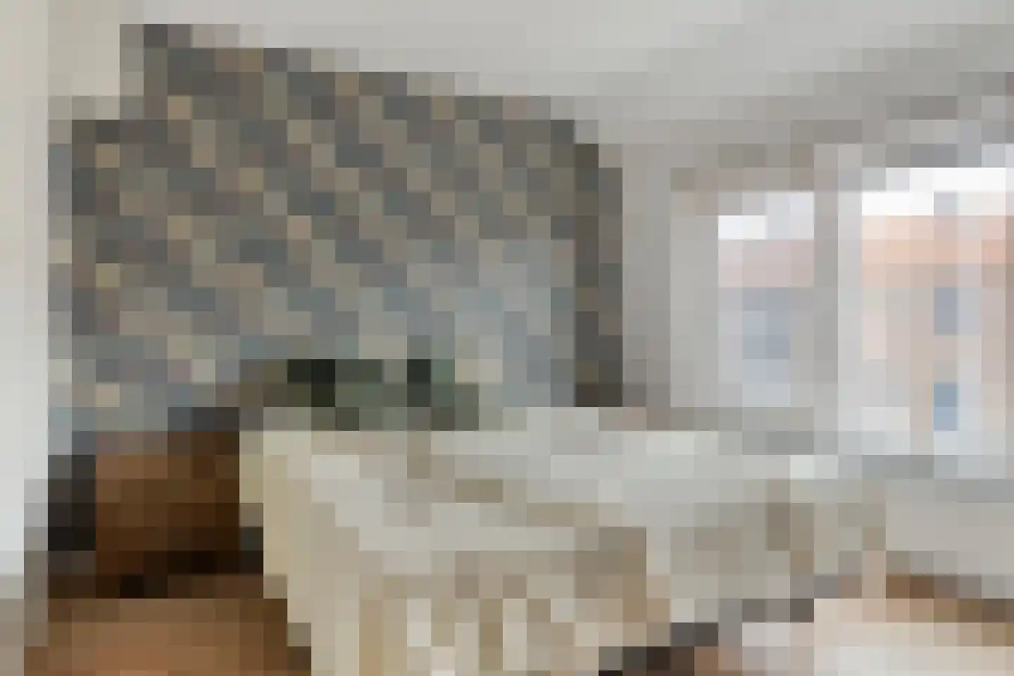 van Ostadestraat 10 Oostburg thumbnail 18
